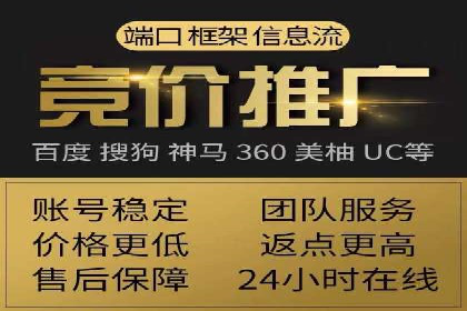 百度推广与SEO结合案例：提升网站排名的技巧
